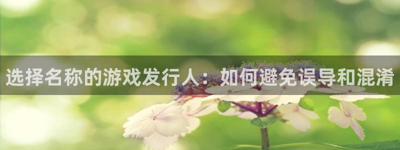 ag街机子上市：选择名称的游戏发行人：如何避免误导和混淆