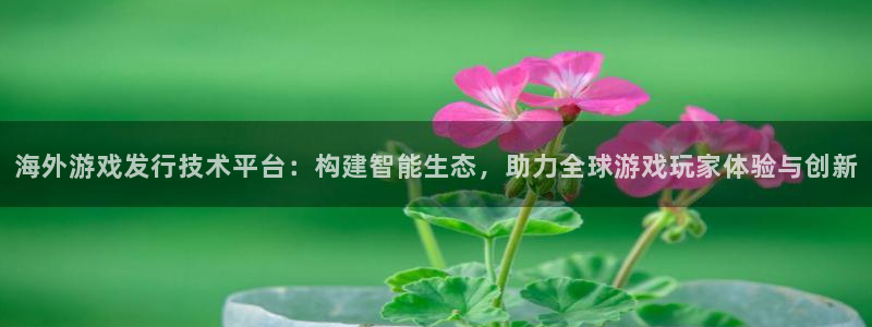 ag街机官网代理注册地址：海外游戏发行技术平台：构建智能生态，助力全球游戏玩家体验与创新