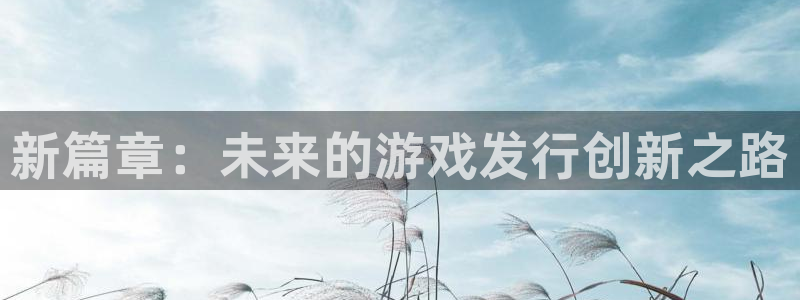 ag街机电子商务有限公司怎么样啊：新篇章：未来的游戏发行创新之路
