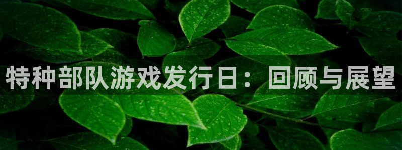 重庆ag街机子文化传播有限公司：特种部队游戏发行日：回顾与展望