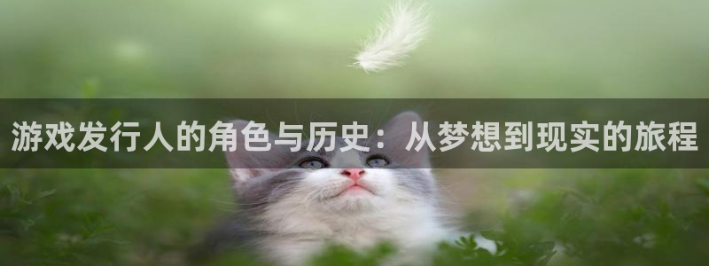 ag街机子猫图片：游戏发行人的角色与历史：从梦想到现实的旅程
