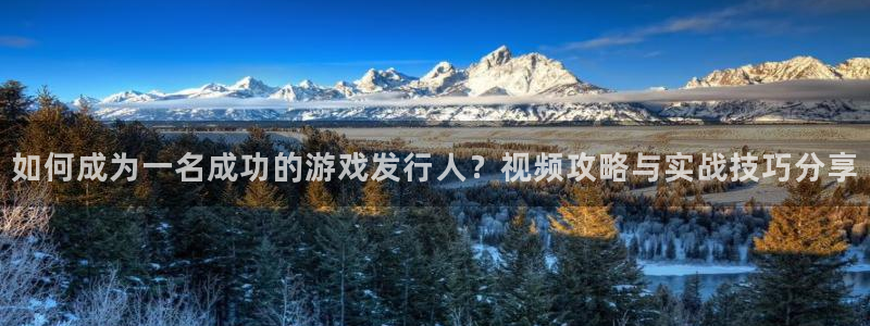 ag街机官网解绑银行卡怎么弄：如何成为一名成功的游戏发行人？视频攻略与实战技巧分享