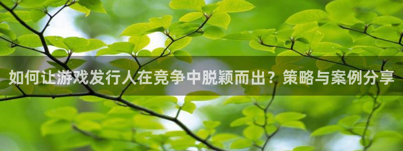 ag街机干红葡萄酒750毫升多少钱：如何让游戏发行人在竞争中脱颖而出？策略与案例分享