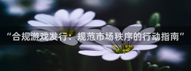 四川ag街机科技有限公司怎么样：“合规游戏发行：规范市场秩序的行动指南”