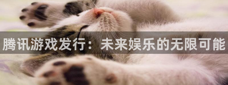 ag街机电子商务：腾讯游戏发行：未来娱乐的无限可能
