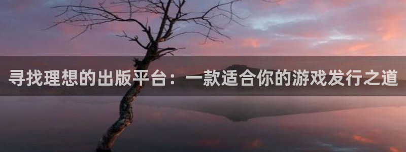 ag街机军团是哪个国家队：寻找理想的出版平台：一款适合你的游戏发行之道