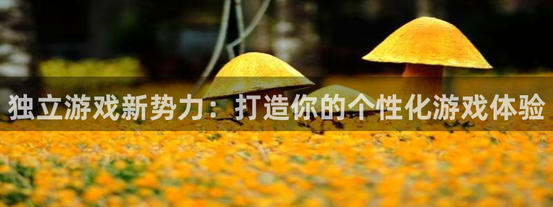 ag街机官网注册平台怎么样可靠吗：独立游戏新势力：打造你的个性化游戏体验