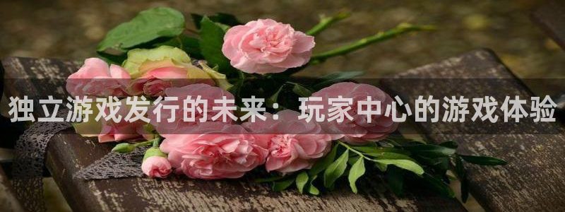 ag街机服装品牌