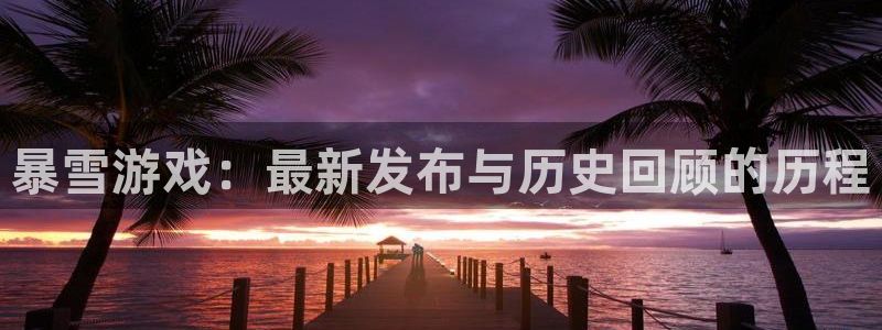 ag街机官网登录注册账号安全吗安全吗：暴雪游戏：最新发布与历史回顾的历程