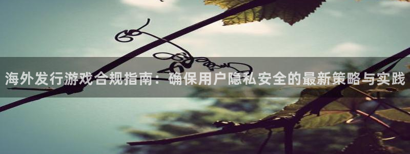 佛山ag街机：海外发行游戏合规指南：确保用户隐私安全的最新策略与实践