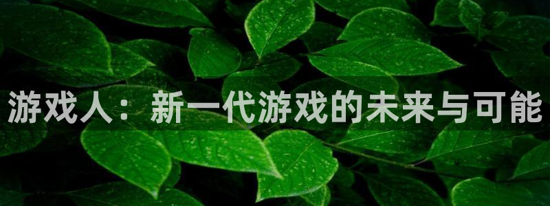 ag街机电子商务怎么样：游戏人：新一代游戏的未来与可能
