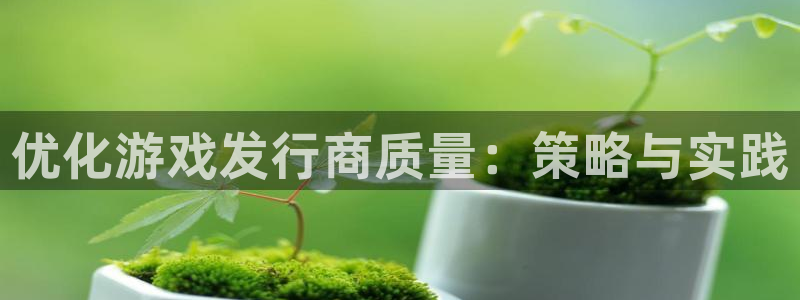 ag街机官网注册平台怎么样可靠吗：优化游戏发行商质量：策略与实践