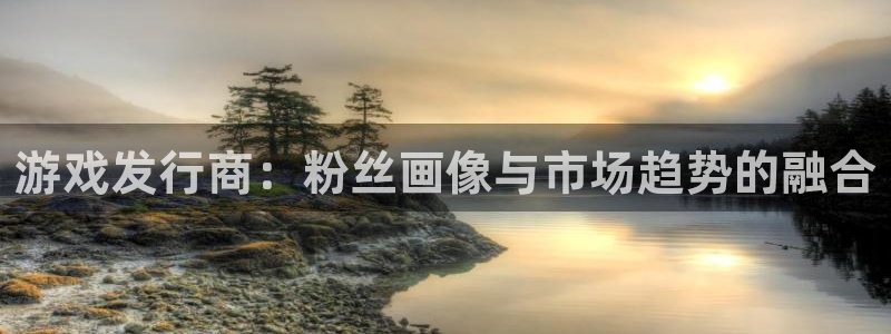 ag街机官网注册平台怎么注册：游戏发行商：粉丝画像与市场趋势的融合