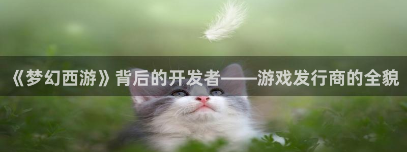 ag街机品牌策划：《梦幻西游》背后的开发者——游戏发行商的全貌