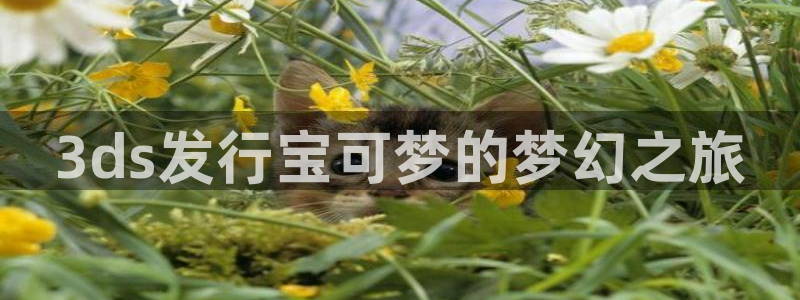 江苏ag街机智得新材料